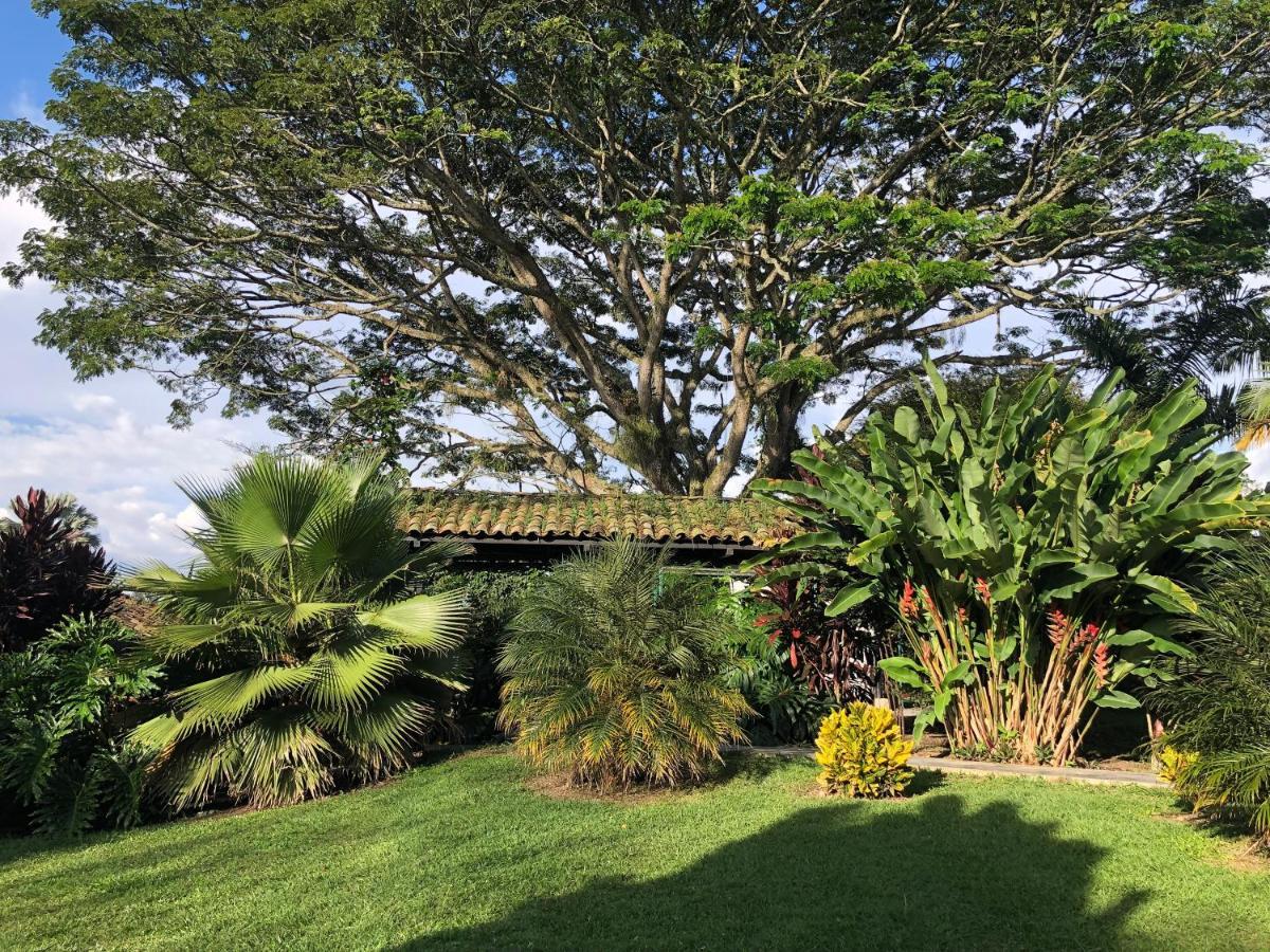 Finca Hotel Brasilia El Edén Esterno foto